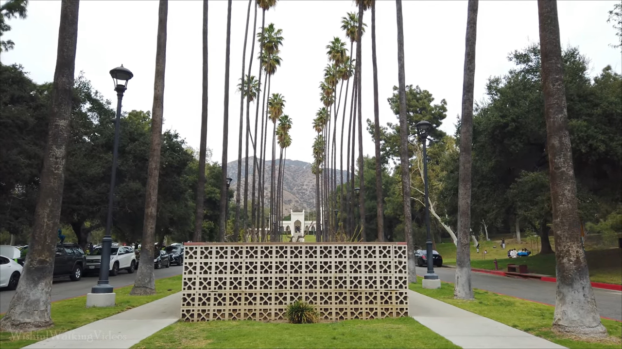 A scenic pathway in Brand Park lined with tall palm trees, leading to a picturesque white building with mountains in the background